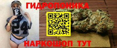 мдпв Рузаевка